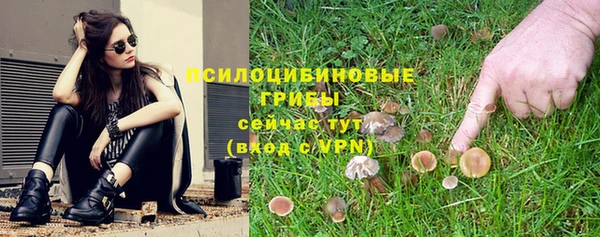 шишки Осташков