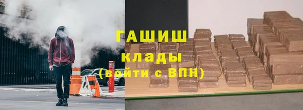 шишки Осташков