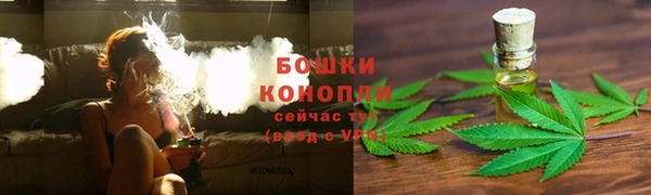 PSILOCYBIN Остров