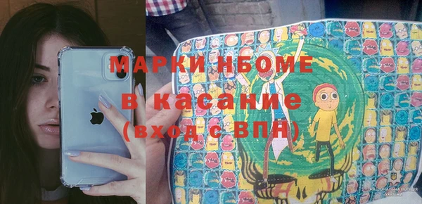 шишки Осташков