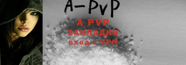 шишки Осташков