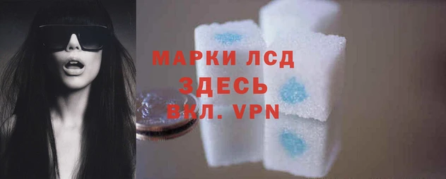 PSILOCYBIN Остров