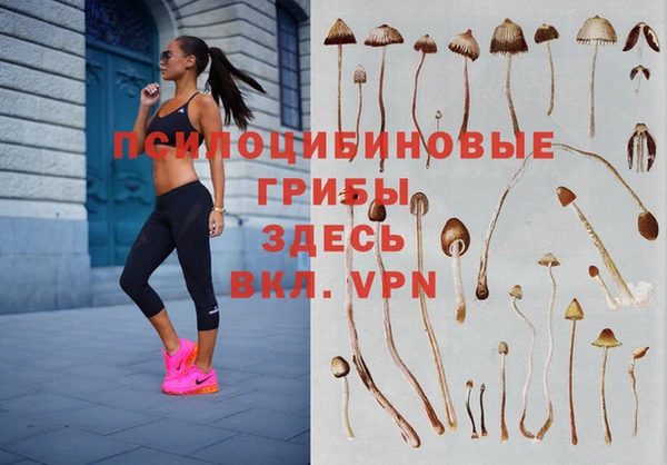амфетамин Осинники