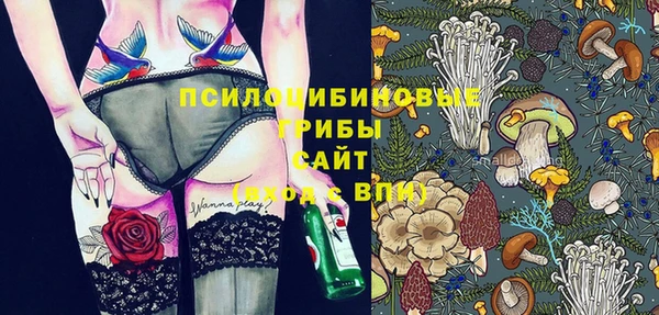 PSILOCYBIN Остров
