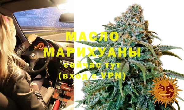 шишки Осташков