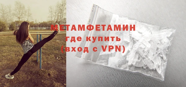 шишки Осташков