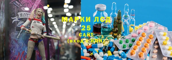 шишки Осташков