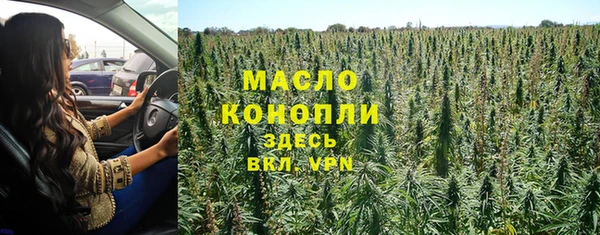 шишки Осташков